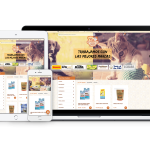 Diseño web e-commerce